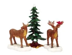LEMAX MR AND MRS MOOSE, SATZ VON 3